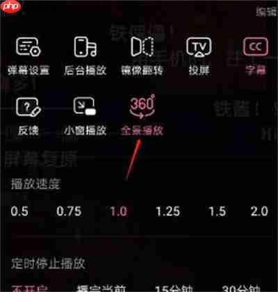 哔哩哔哩怎么开启全景模式