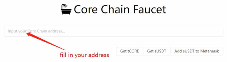 如何将Core DAO添加到Metamask小狐狸wallet？
