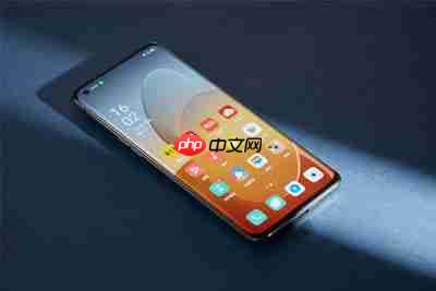 OPPO find x3Pro外观怎么样