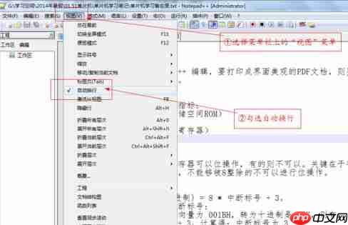 Notepad++如何设置自动换行？自动换行设置步骤一览