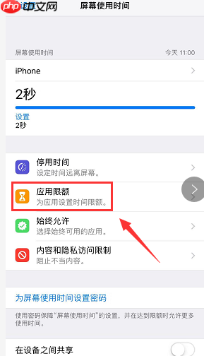 苹果xr访问限制在哪_苹果xr访问限制位置简介