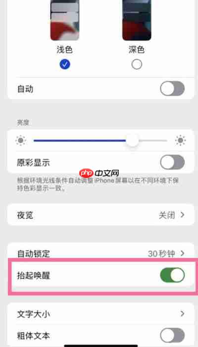 苹果手机怎么设置抬起唤醒功能