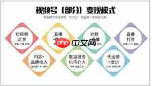 视频号做什么内容能快速变现
