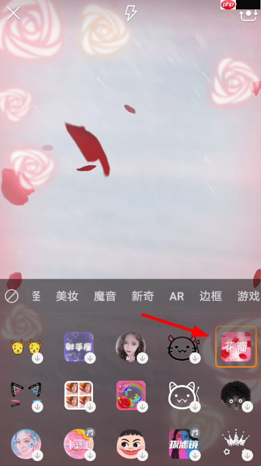 快手APP怎么设置玫瑰花瓣特效？玫瑰花瓣特效设置方法讲解