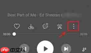 汽水音乐开机自动播放的原因是什么