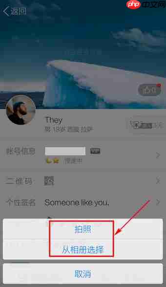 QQ如何设置头像？QQ设置头像流程说明