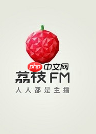 荔枝FM怎么用？