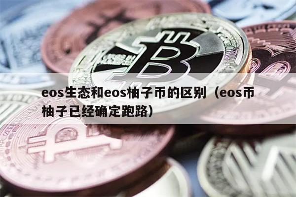 EOS生态与柚子币区别详解