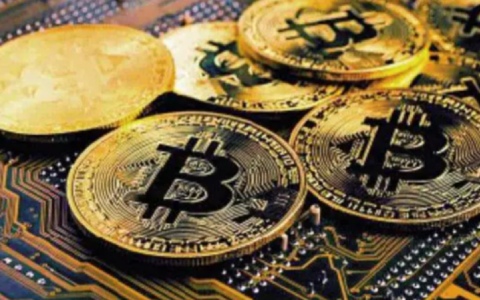 ALICE币深度分析：技术、用途及未来前景