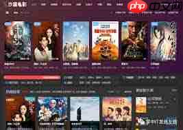 欧美大片在线观看网站入口在哪