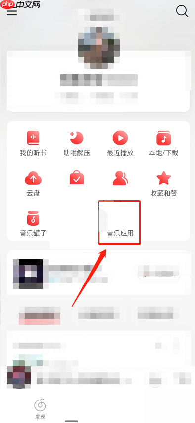 网易云音乐乐迷团在哪里?网易云音乐乐迷团查看方法