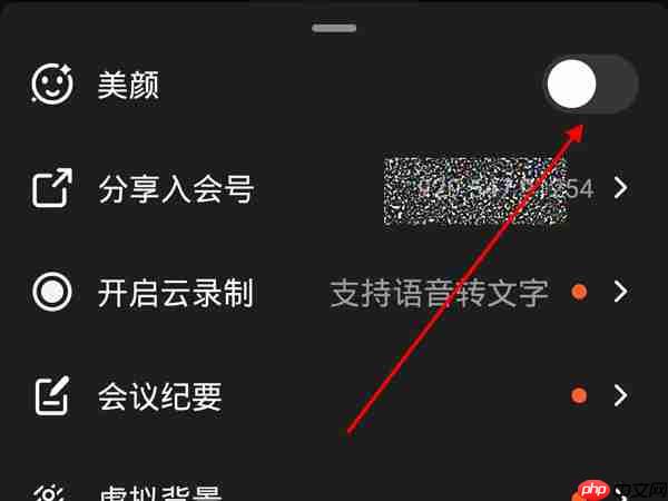 钉钉美颜效果怎么打开