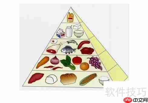健美初学者必看：膳食营养补充指南