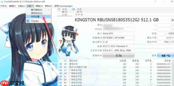 CrystalDiskInfo怎么设置字体-CrystalDiskInfo设置字体的方法