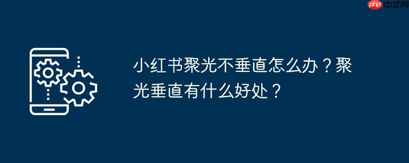 小红书聚光不垂直怎么办？聚光垂直有什么好处？