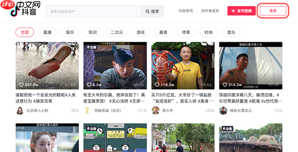 抖音网页版登录入口