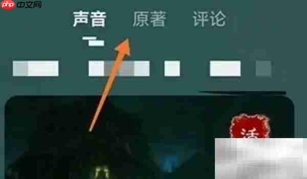 喜马拉雅App文字显示设置说明
