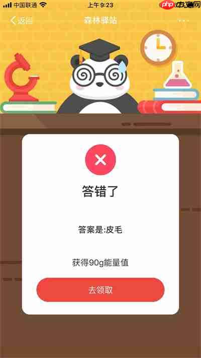 森林驿站8月23日答案分享