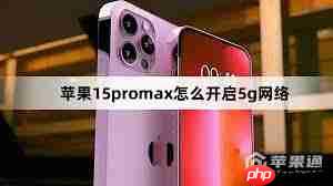 苹果15pro怎样打开5g网络