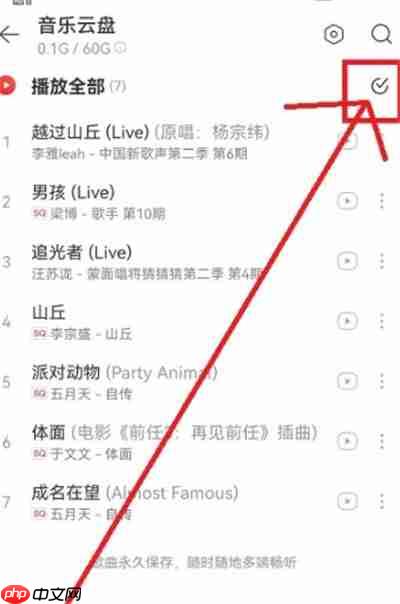 网易云音乐云盘歌曲删除方法