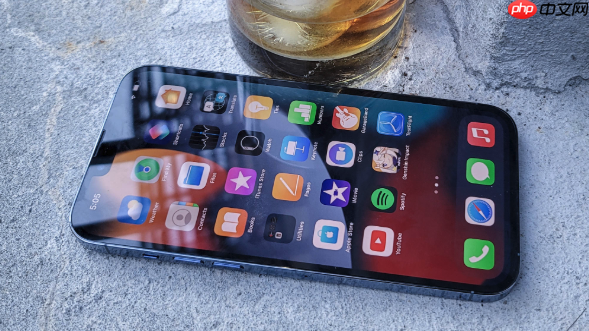 你肯定不知道！iPhone自带的“屏幕翻译”功能​