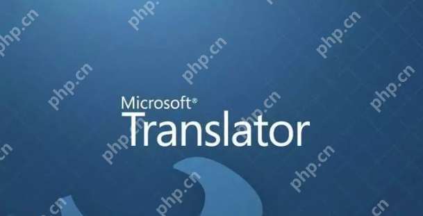 在线翻译软件排行榜 盘点2025全球最好用的十个在线翻译APP - 菜鸟