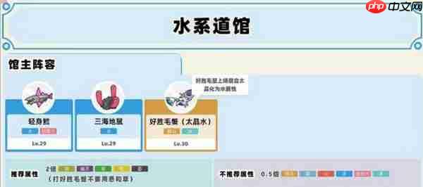宝可梦朱紫道馆一般顺序通关攻略