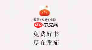 番茄小说金币如何刷得最快