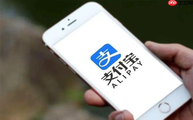 支付宝发票管家怎么使用 电子发票归集与报销教程