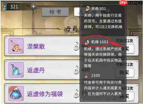 一念逍遥灵界飞升攻略