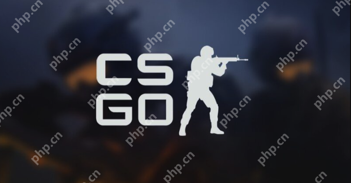 顶级csgo大片入口 顶级csgo高清无水印视频入口 - 菜鸟