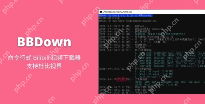 bilibili视频解析工具有哪些？bilibili视频解析手机工具免费推荐 - 菜鸟