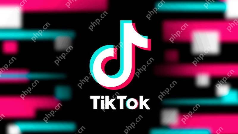 TikTok搜索功能失效怎么办？ - 菜鸟