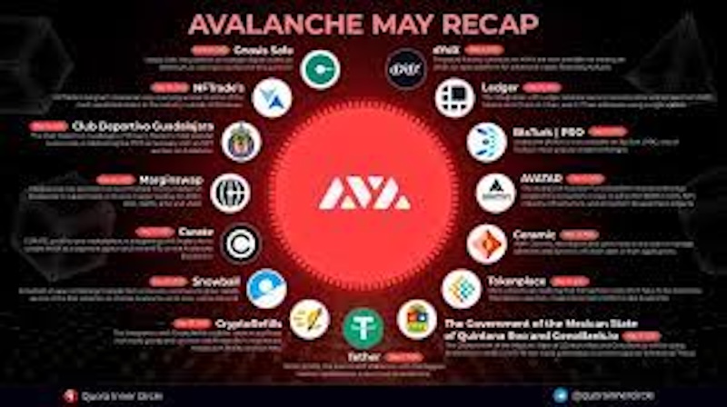 Avalanche（AVAX）生态爆发！哪些项目值得提前布局？