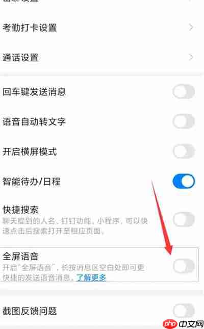 钉钉怎么开启全屏语音的功能