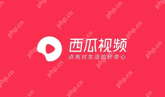 西瓜视频免费网址 西瓜视频网站免费播放2025 - 菜鸟