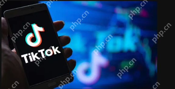 TIKTOK官网入口 tiktok网站入口免费观看 - 菜鸟