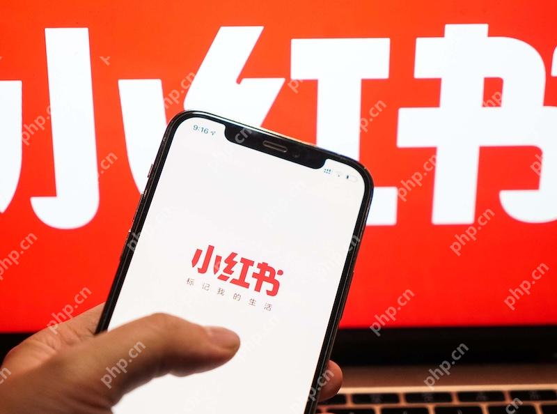 小红书账号切换频繁被锁定 如何解除限制？ - 菜鸟