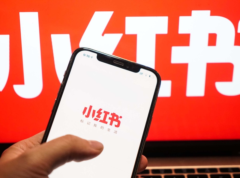 小红书直播回放无法下载 如何处理权限问题？ - 菜鸟