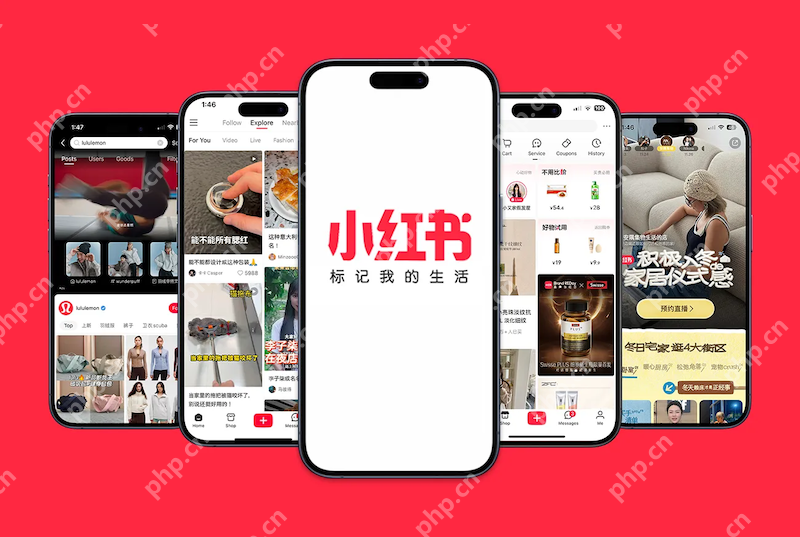 小红书直播回放无法下载 如何处理权限问题？ - 菜鸟