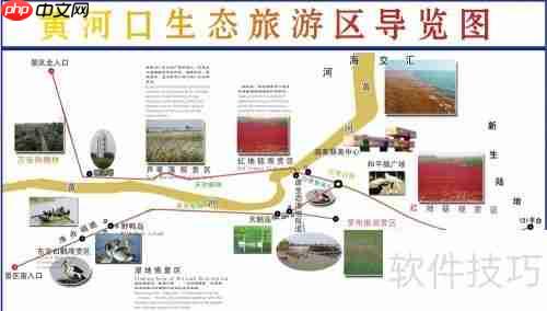 黄河口生态旅游区：探索自然之美与野生禽鸟天堂