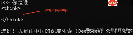 DeepSeek-R1的“思考”艺术，你真的了解吗？