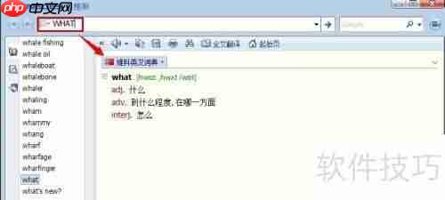 灵格斯使用指南：快速上手与功能介绍