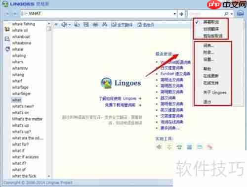 灵格斯使用指南：快速上手与功能介绍
