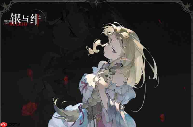 银与绯是哪个公司开发的 银与绯开发商详细介绍