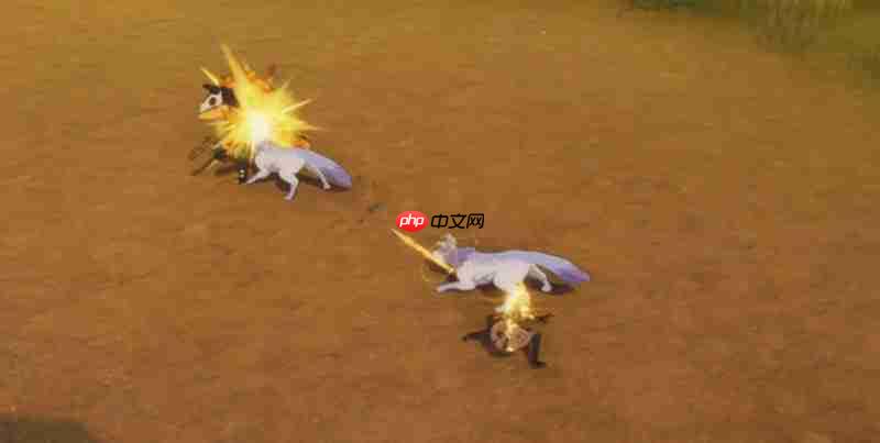 星痕共鸣射手有什么技能 射手职业特点详细介绍