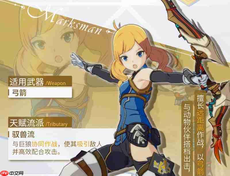 星痕共鸣射手有什么技能 射手职业特点详细介绍