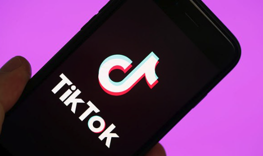 TikTok在线安装地址 TikTok国际版永久免费安装 - 菜鸟下载