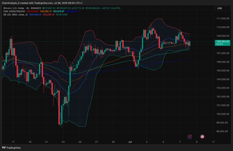比特币价格走势预测:BTC能涨到多高？下一个目标是14万美元？