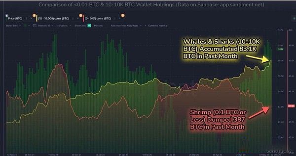 比特币价格走势预测:BTC能涨到多高？下一个目标是14万美元？